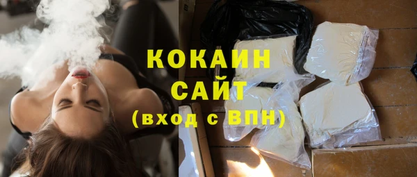 соль ск Алексин