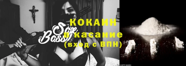 соль ск Алексин