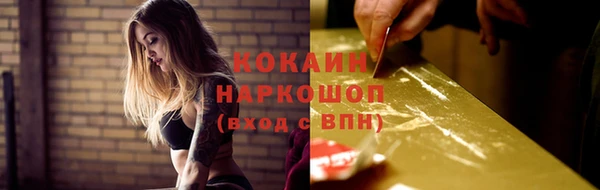 соль ск Алексин