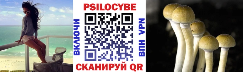 Галлюциногенные грибы GOLDEN TEACHER  Артёмовск 